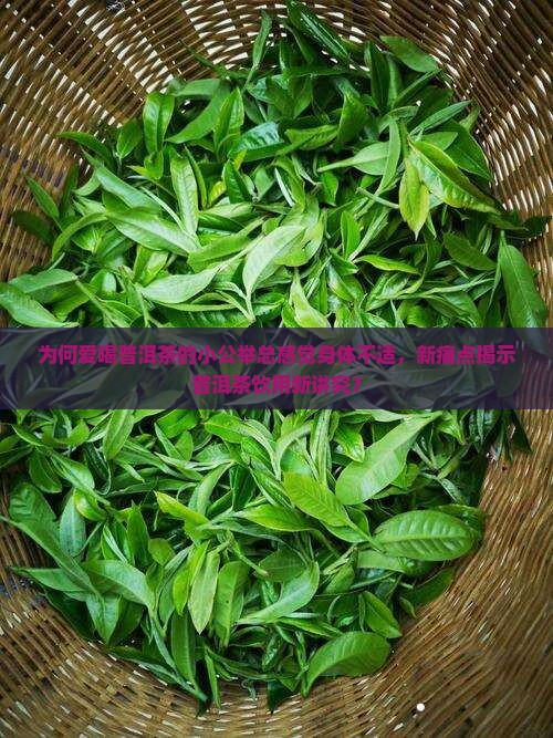 爱喝普洱茶的小公举