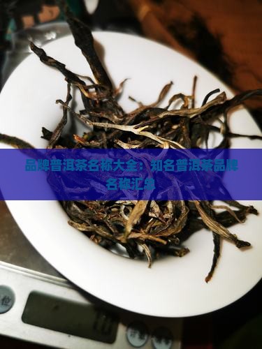 品牌普洱茶名称