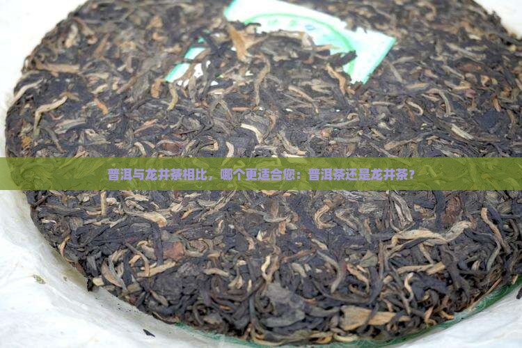 普洱茶和龙井推荐哪款茶