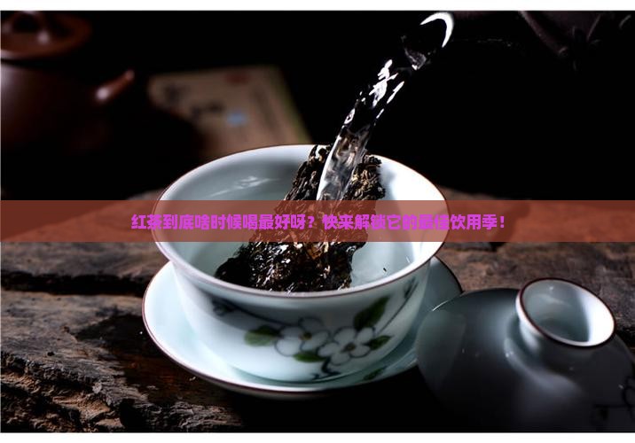 红茶什么季节喝