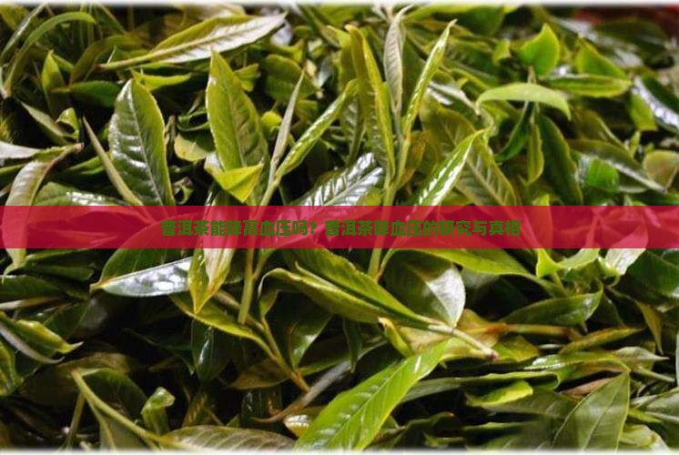 普洱茶能降高血压吗冫