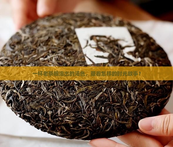 熟普洱茶老茶根汤色