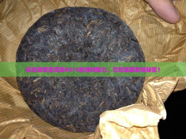 新景普洱茶8073