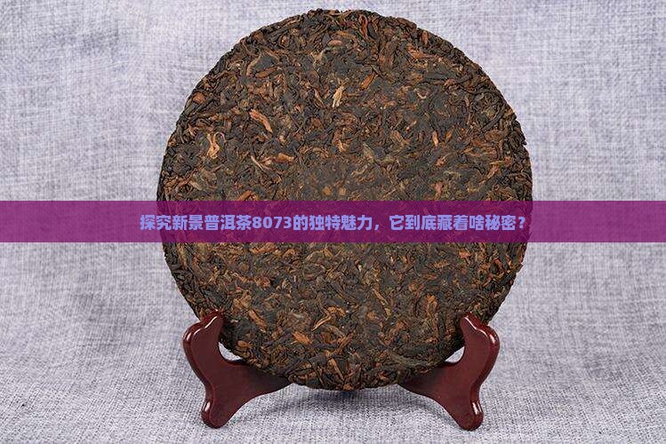 新景普洱茶8073