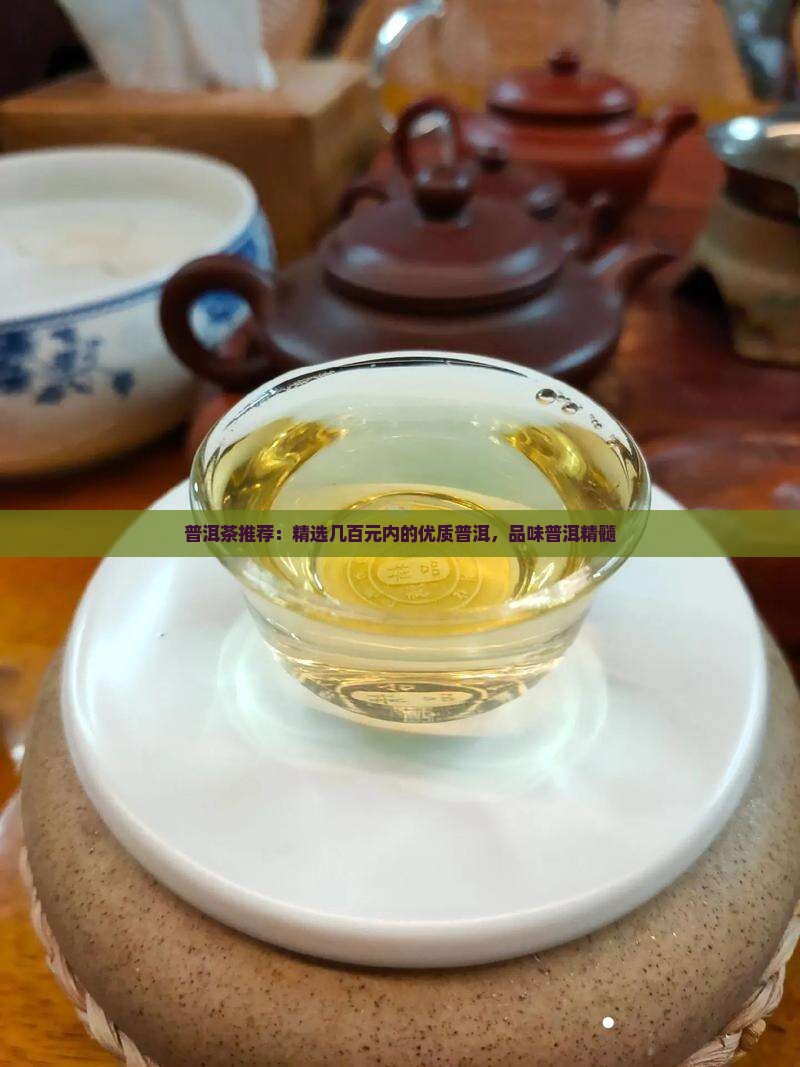 几百块钱的普洱茶