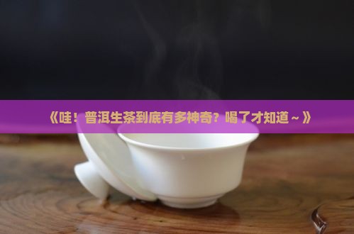 论茶普洱茶生茶
