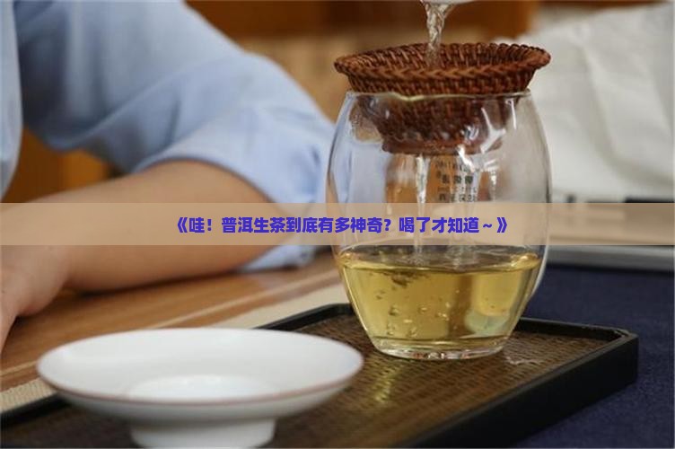 论茶普洱茶生茶