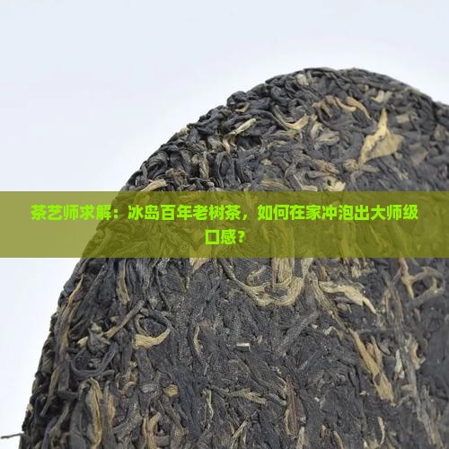 冰岛百年老树茶
