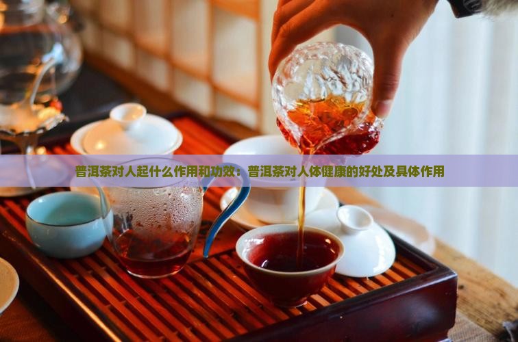 普洱茶对人起什么作用和功效