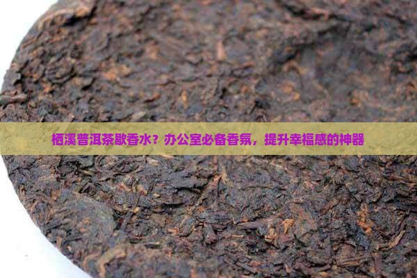 栖溪普洱茶歇香水