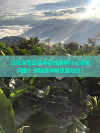 红花泡普洱茶喝有什么好处