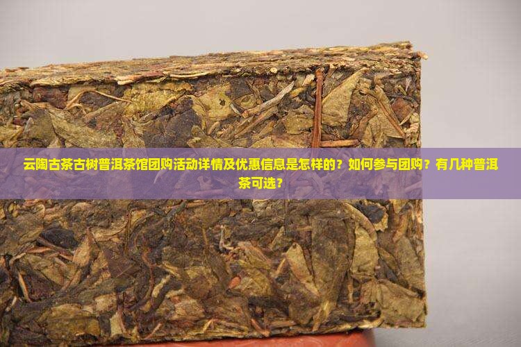 云陶古茶古树普洱茶馆团购