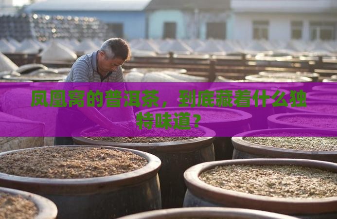普洱茶凤凰窝味道