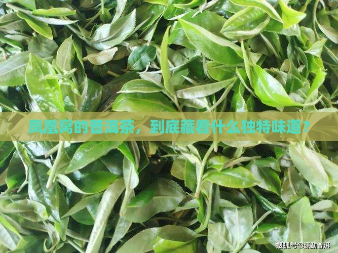 普洱茶凤凰窝味道