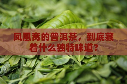普洱茶凤凰窝味道