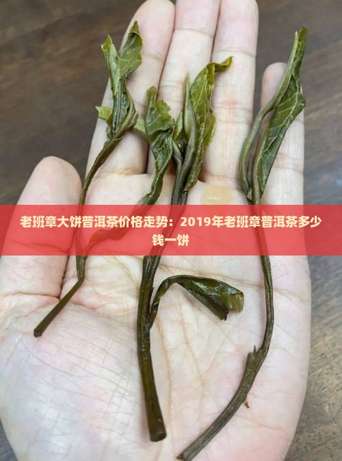老班章大饼普洱茶