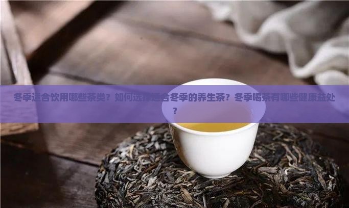 冬季喝什么茶好