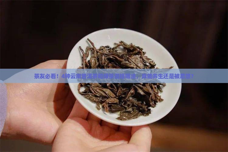 云南普洱茶绿茶的功效