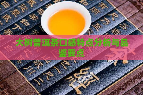 大树普洱茶口感特点分析