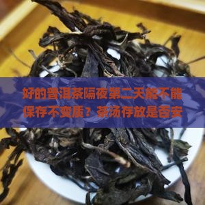 泡好的普洱茶隔夜喝吗