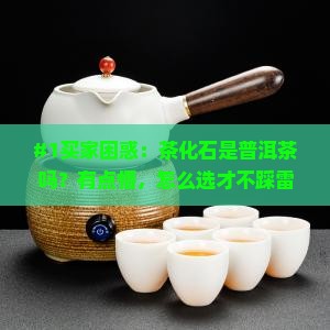 茶化石属于普洱茶么