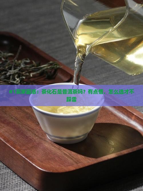 茶化石属于普洱茶么