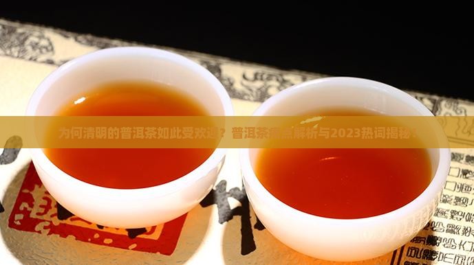 清明的普洱茶是什么茶