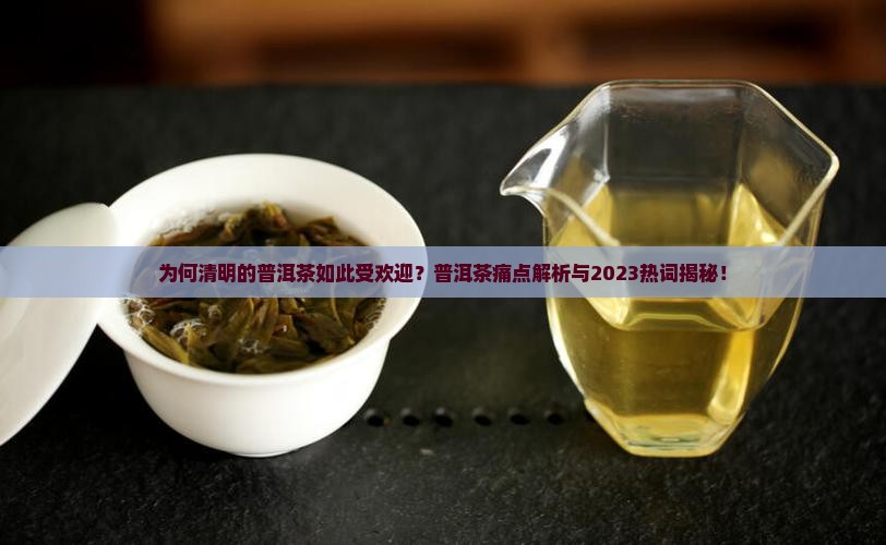 清明的普洱茶是什么茶
