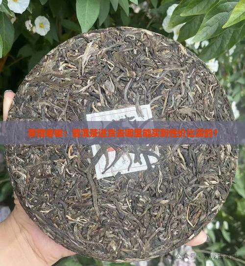 普洱茶进货要去哪里进