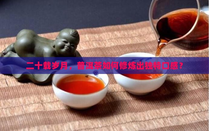 普洱茶转化20年口感