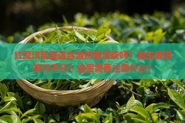 红泥汉瓦壶适合泡熟普洱茶吗