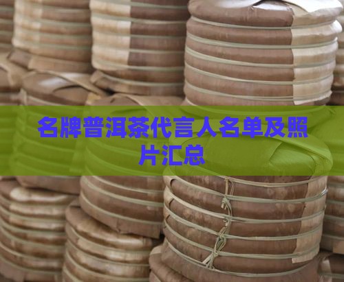 名牌普洱茶代言人