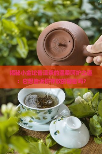 小金坨普洱茶怎样存放