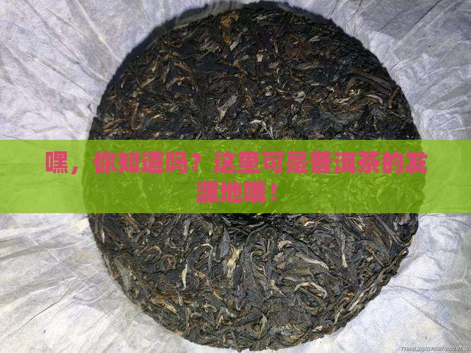 普洱茶原产地之一