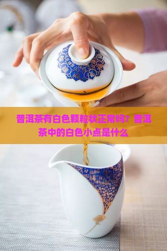 普洱茶有白色颗粒状