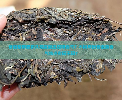普洱茶放多少年有香味了