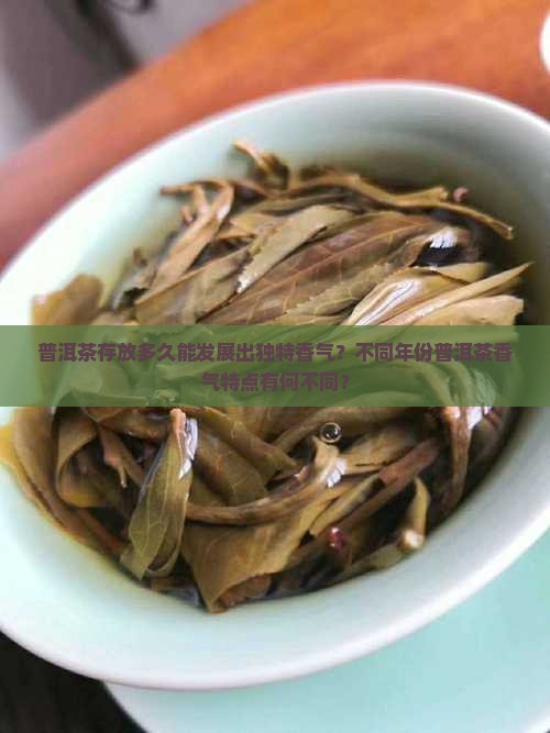 普洱茶放多少年有香味了