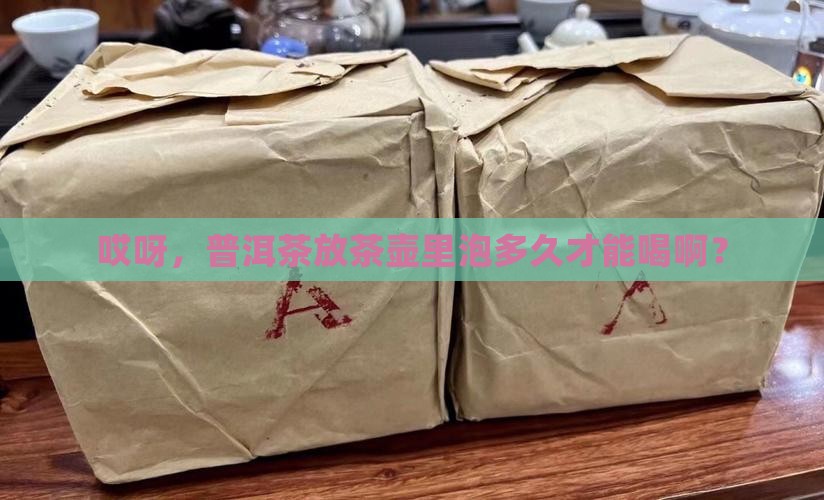 普洱茶放茶壶里泡多久可以喝