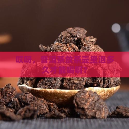 普洱茶放茶壶里泡多久可以喝