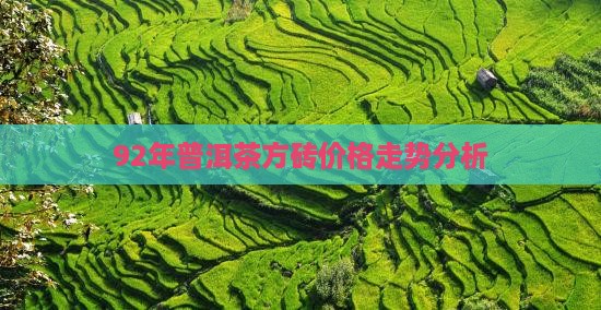 92年普洱茶金砖价格