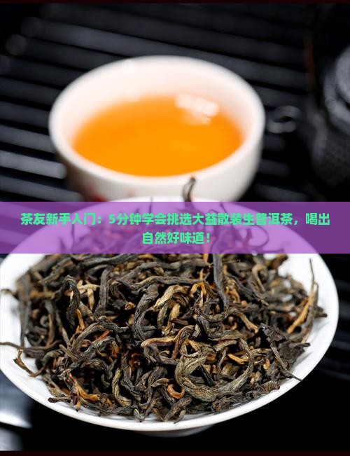 大益普洱茶散茶生茶