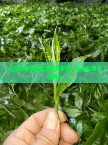 德昌号普洱茶价格 德昌号普洱茶价格