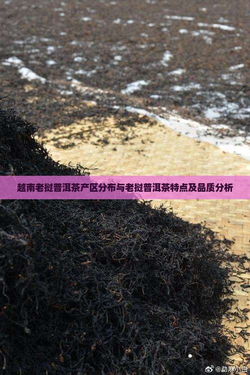越南老挝普洱茶产区