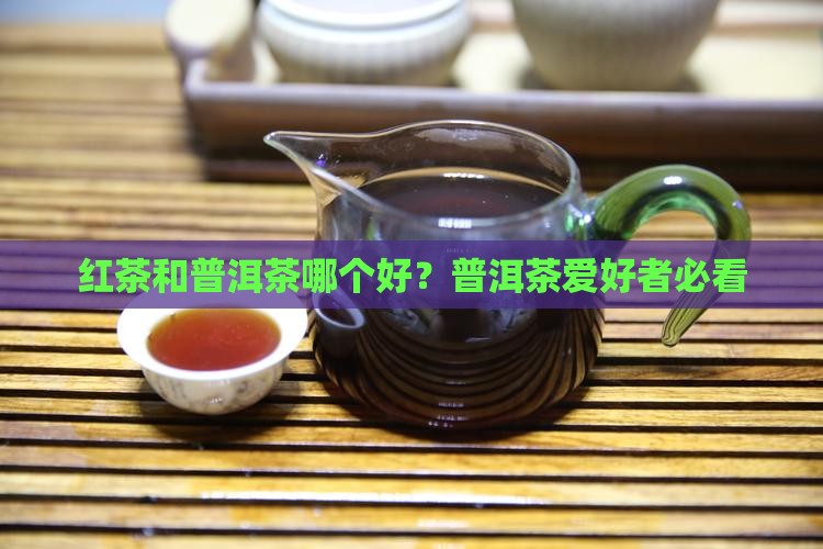 茶壶红茶和普洱茶哪个好