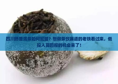 四川熟普洱茶如何加盟