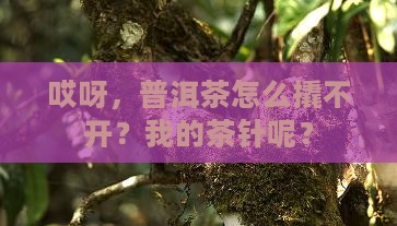 撬普洱茶没有茶针