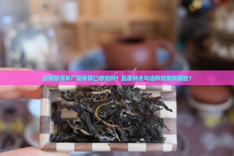云南普洱茶厂出的龙骨茶好喝吗