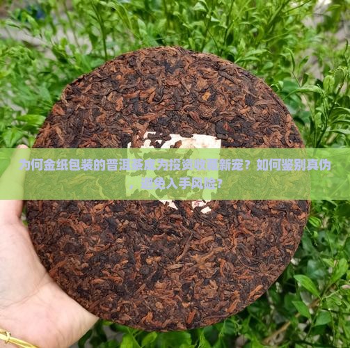 金纸包装普洱茶