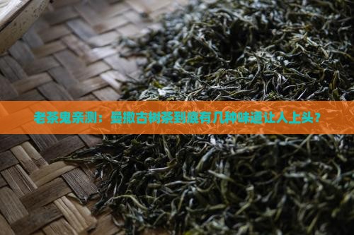 曼撒古树茶特点味道