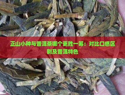 正山小种和普洱茶哪个好喝